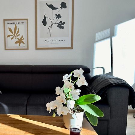 Modernes Zwei-Zimmer-Apartment Chemnitz - Kassberg Экстерьер фото